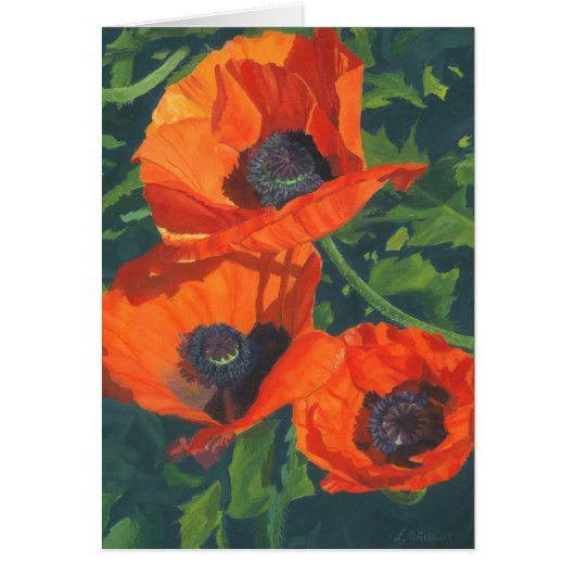 Red Poppies Cards (Front)
