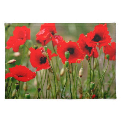 Red Poppies Cloth Placemats