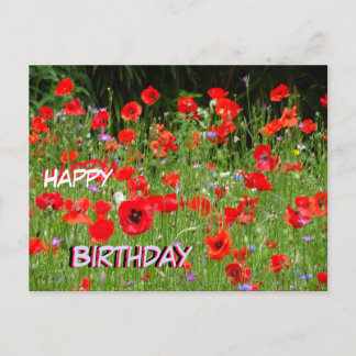 Red Poppies Field Happy Birthday Postcard