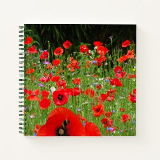 Red Poppies Field Notebook