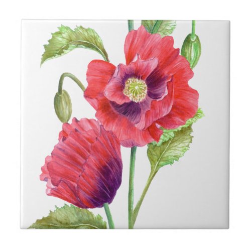 Red Poppies Floral Art Ceramic Tile