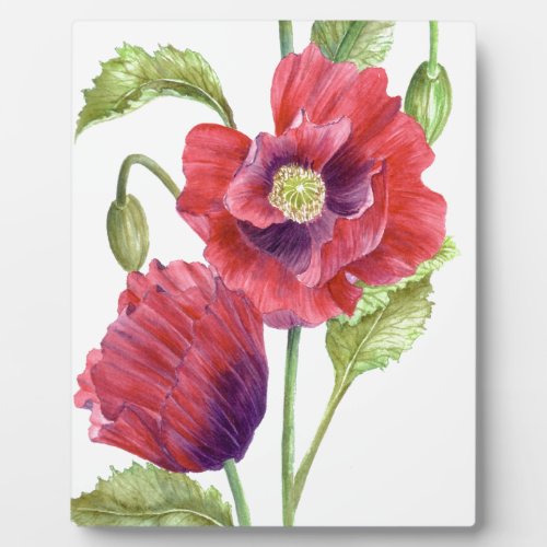 Red Poppies Floral Art Plaque