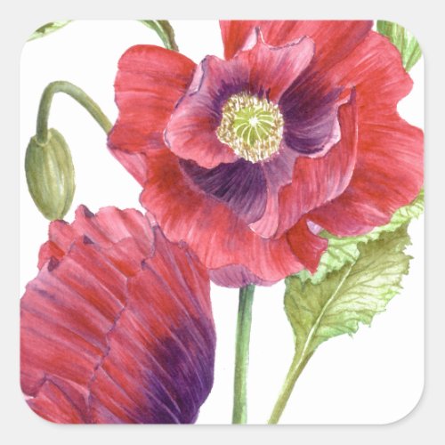 Red Poppies Floral Art Square Sticker