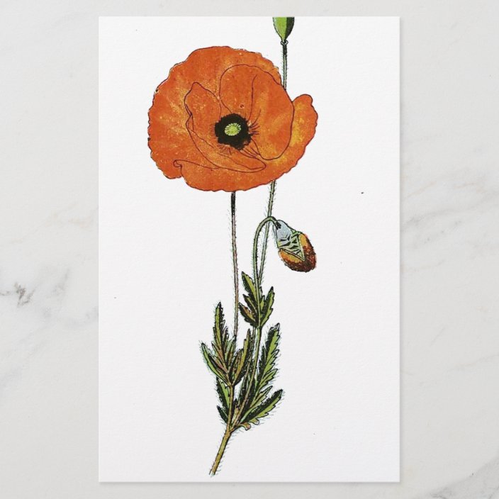 Red Poppies Flower Vintage Botanical Print Stationery | Zazzle.com