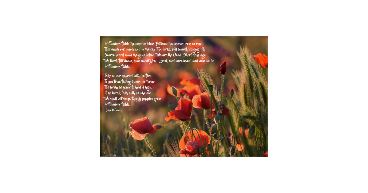 Red Poppies, In Flanders Fields Poem Acrylic Print | Zazzle.com