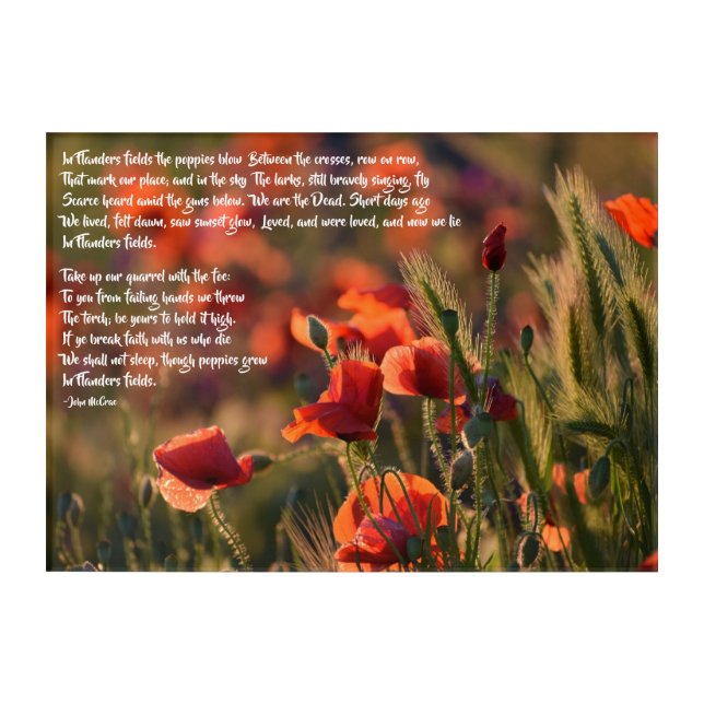 Red Poppies, In Flanders Fields Poem Acrylic Print (Front)