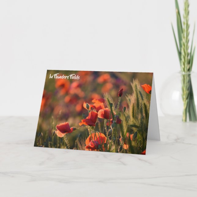 Red Poppies, In Flanders Fields Poem Card (Front)