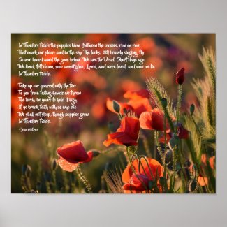 Red Poppies, In Flanders Fields Poem Poster