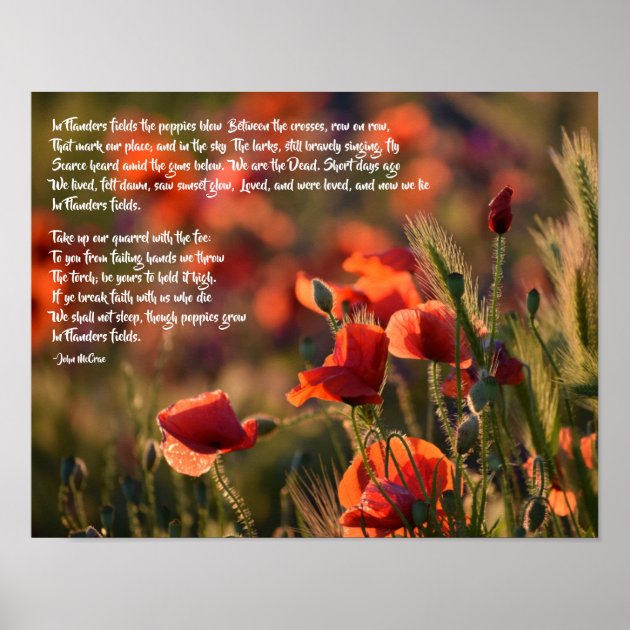 Red Poppies In Flanders Fields Poem Poster Zazzle