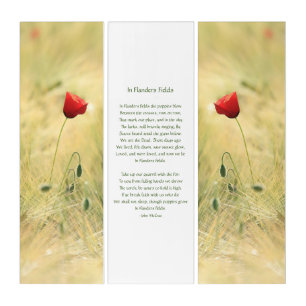 Red Poppies, In Flanders Fields Poem Triptych