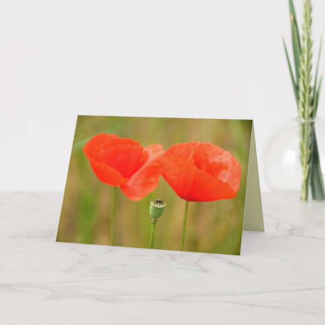 Red Poppies in Hungary Greetingcard Card (Front)