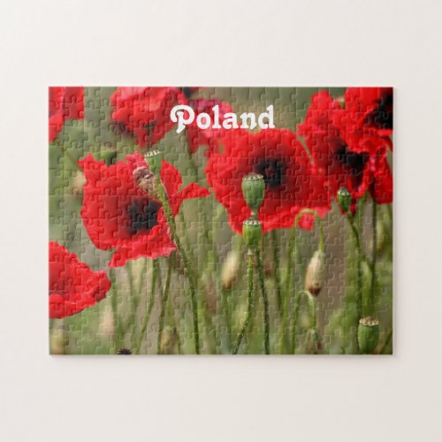 Red Poppies in Poland Jigsaw Puzzle