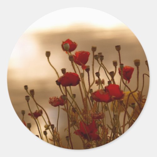 Red Poppies in Sunlight Flower Stickers