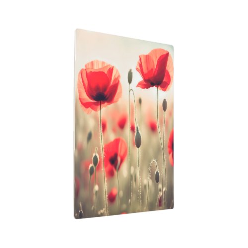 Red Poppies In Sunny Field Metal Print