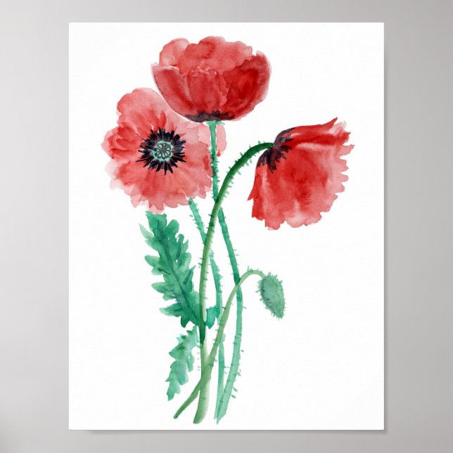 Red poppies in watercolor poster (Front)