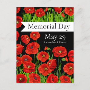 Red Poppies Memorial Day Postcard