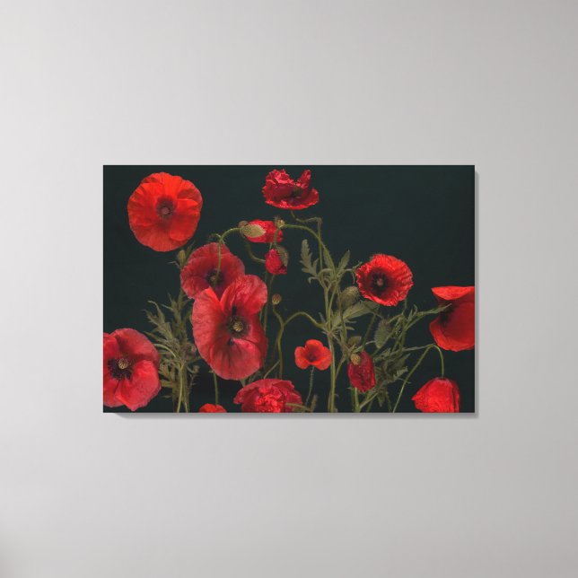 Red Poppies On Black  Canvas Print (Front)