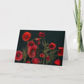 Red Poppies On Black Card
