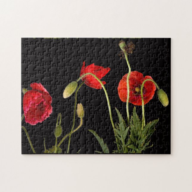 Red Poppies On Black  Jigsaw Puzzle (Horizontal)