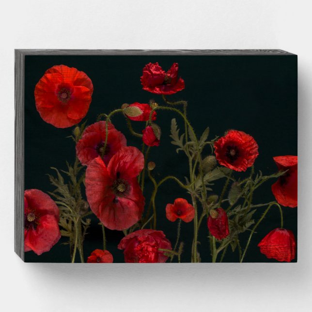 Red Poppies On Black Wooden Box Sign (Front Horizontal)