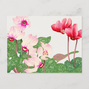Red poppies postcard