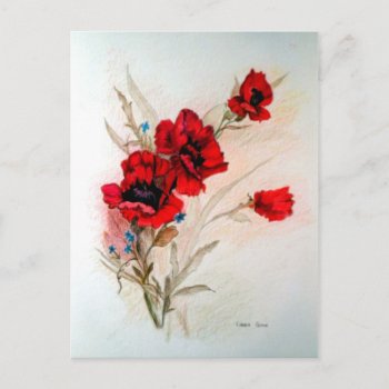 Red Poppies Postcard by Linda_Ginn_Art at Zazzle