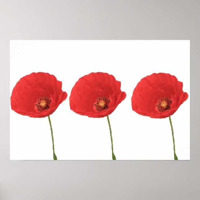 Red Poppies Poster Print (Front)