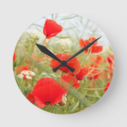 Red poppies pretty meadow round clock
