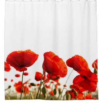 Red Poppies Shower Curtain by mugebasak at Zazzle