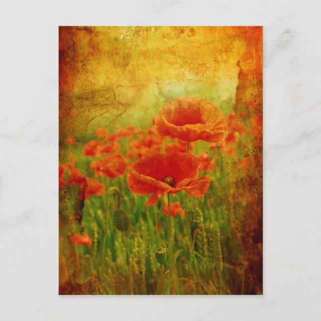 Red poppies vintage postcard (Front)
