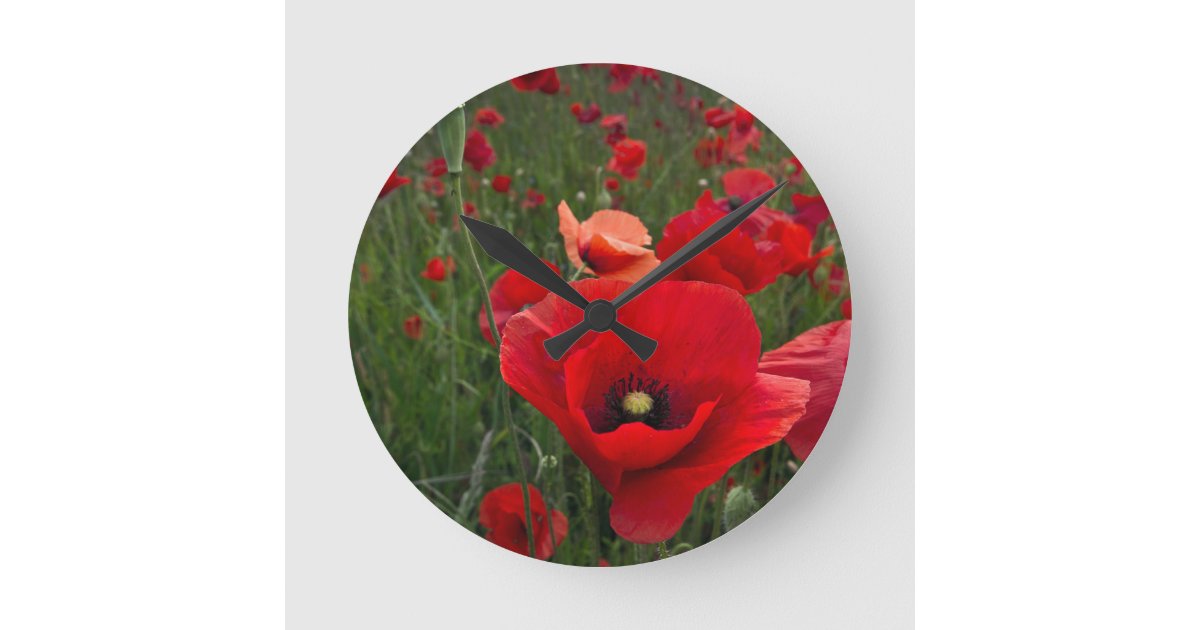 Red Poppies Wall Clock Zazzle