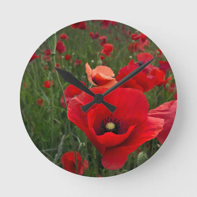 Red Poppies Wall Clock Zazzle