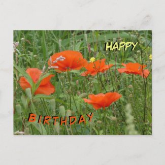 Red Poppies Wild Flowers Happy Birthday Postcard