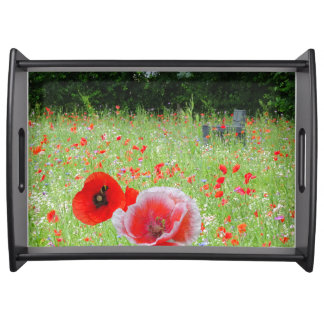 Red Poppies with Bench Serving Tray