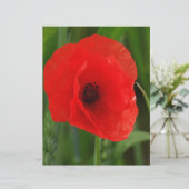 Red poppy (Standing Front)