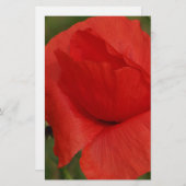 Red poppy (Front/Back)