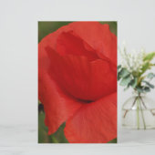Red poppy (Standing Front)