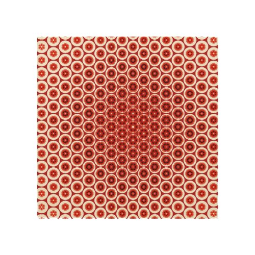 Red poppy abstract geometricv morph art pattern