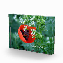 Red Poppy Bloom with Grace Custom Acrylic Block