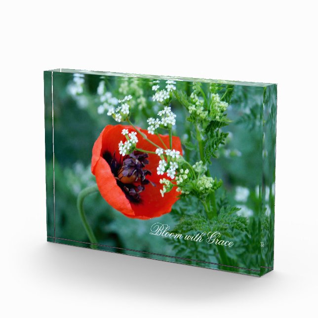 Red Poppy Bloom with Grace Custom Acrylic Block (Right)