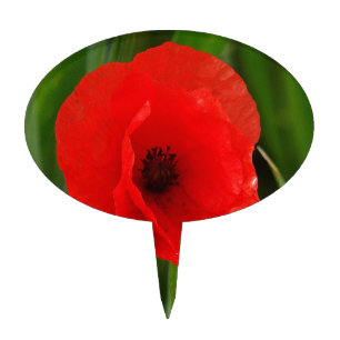 Red poppy cake topper