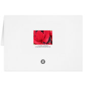 Red Poppy Cards (Back Horizontal)