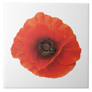 Red Poppy Ceramic Tile