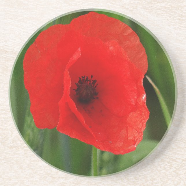 Red poppy coaster (Front)