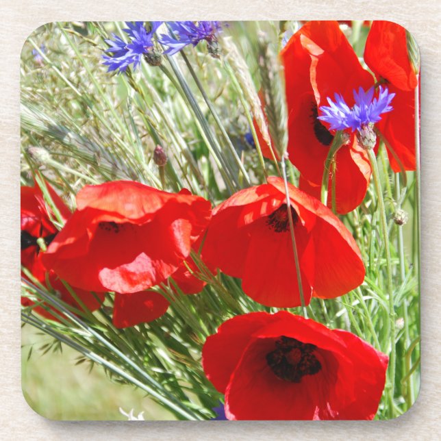 Red Poppy, Cottage Garden  photo Beverage Coaster (Front)