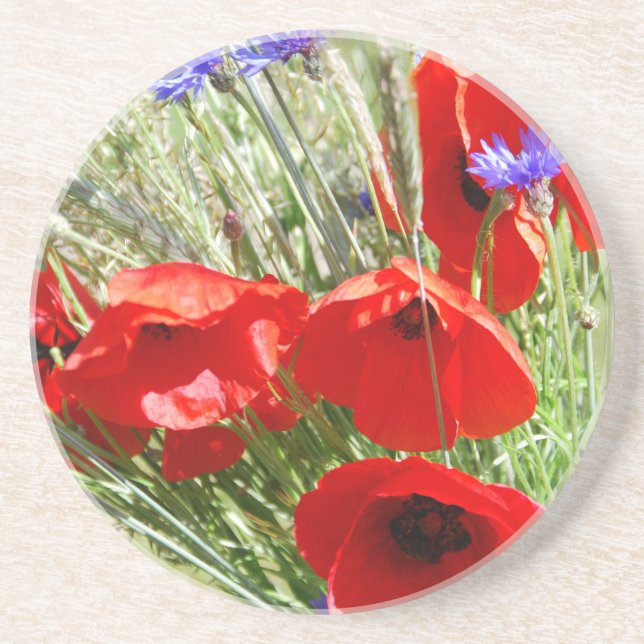 Red Poppy, Cottage Garden  photo Coaster (Front)