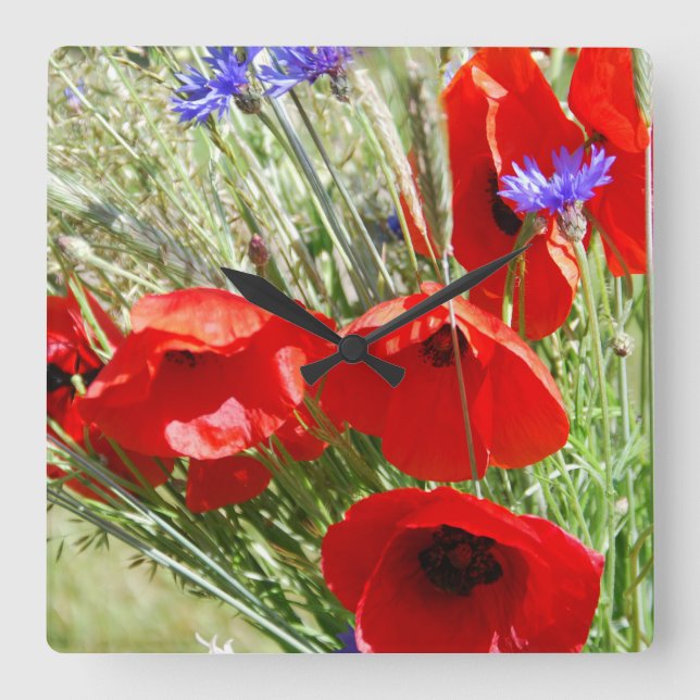 Red Poppy, Cottage Garden  photo Square Wall Clock (Front)