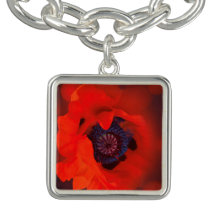 Red Poppy Dark Background & Bokeh Effect