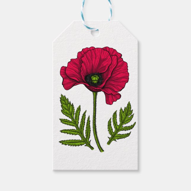 Red poppy drawing 3 gift tags (Front)