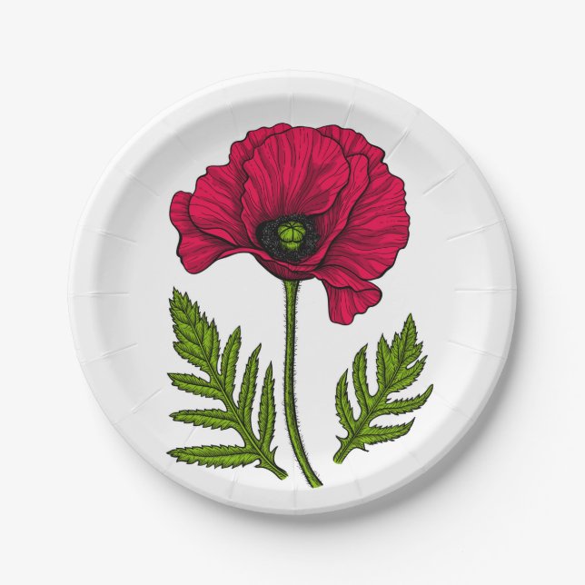 Red poppy drawing 3 paper plates (Front)